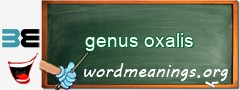 WordMeaning blackboard for genus oxalis